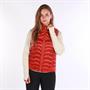 Gilet sans manches Ideal Down Ariat Vert moyen