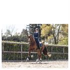 Guêtres Active Gel Impact ATB22001 Anky Bleu foncé