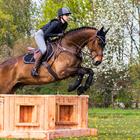 Guêtres Eventing Avant QHP Noir