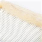 Guêtres Fleece Edge Mesh Brushing LeMieux Blanc-beige