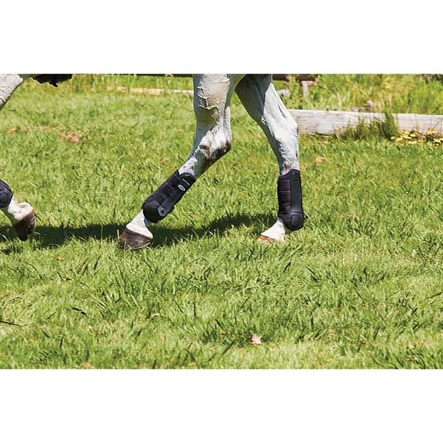 Guêtres Flexi pour postérieurs WeatherBeeta Noir