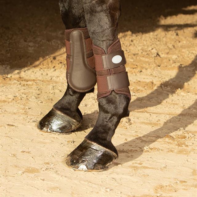 Guêtres Flextrainer Air Mesh Harry's Horse Marron