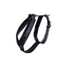 Harnais pour chien Active Velvet Kentucky Noir