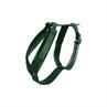 Harnais pour chien Active Velvet Kentucky Vert