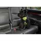 Harnais pour chien anti-traction WEATHERBEETA Noir-jaune