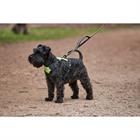 Harnais pour chien anti-traction WEATHERBEETA Noir-jaune
