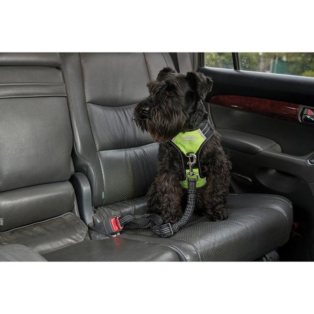 Harnais pour chien anti-traction WEATHERBEETA Noir-jaune