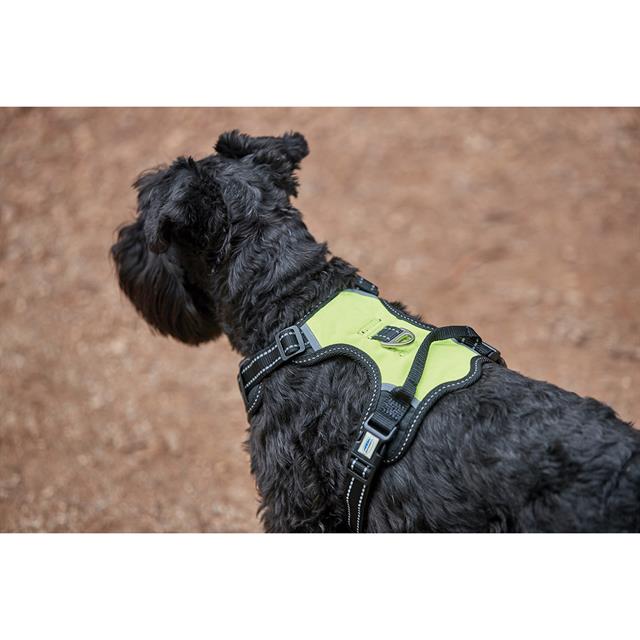 Harnais pour chien anti-traction WEATHERBEETA Noir-jaune