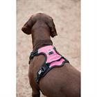 Harnais pour chien anti-traction WEATHERBEETA Noir-rose