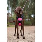 Harnais pour chien anti-traction WEATHERBEETA Noir-rose