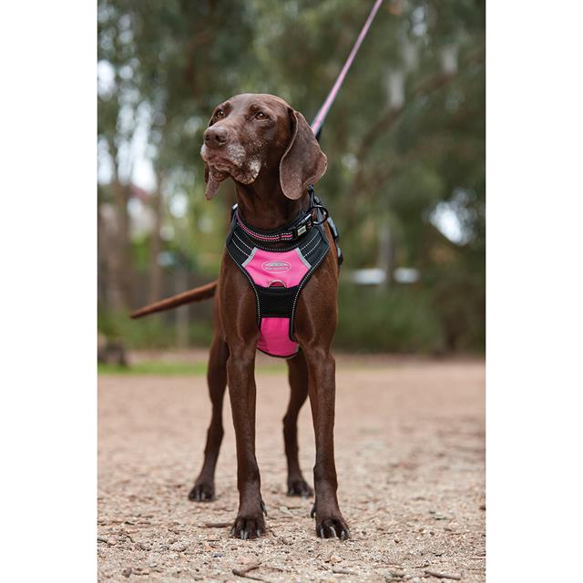 Harnais pour chien anti-traction WEATHERBEETA Noir-rose