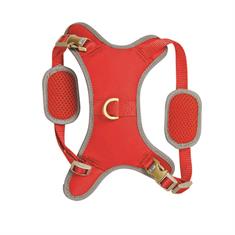Harnais pour chien Elegance WeatherBeeta