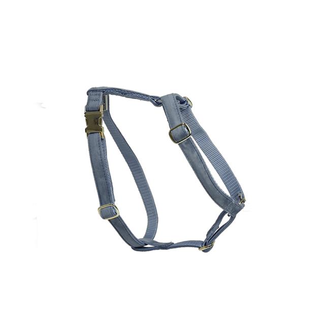 Harnais pour chien Kentucky Bleu clair