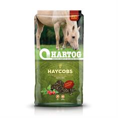 Haycobs Hartog Autre