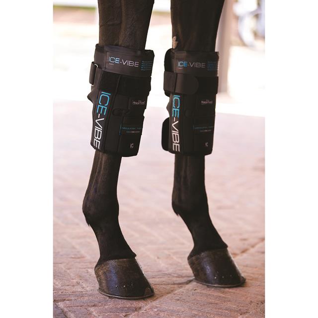 Ice Vibe Knee Wrap Horseware Noir