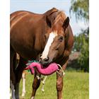 Jouet cheval Unicorn QHP Divers