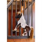 Jouet pour cheval Relax Kentucky Marron-blanc