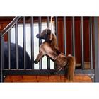 Jouet pour cheval Relax Kentucky Marron