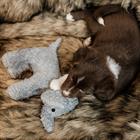Jouet pour chien éléphant Elsa Kentucky Gris