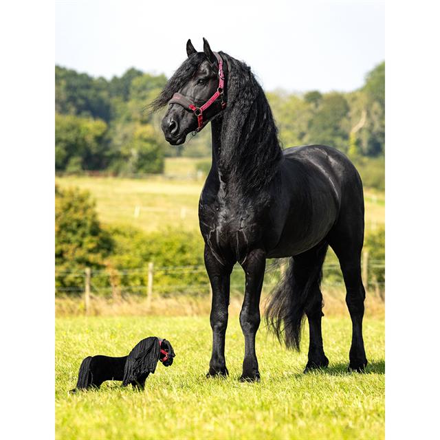 Jouet Toy Pony Spike LeMieux Noir