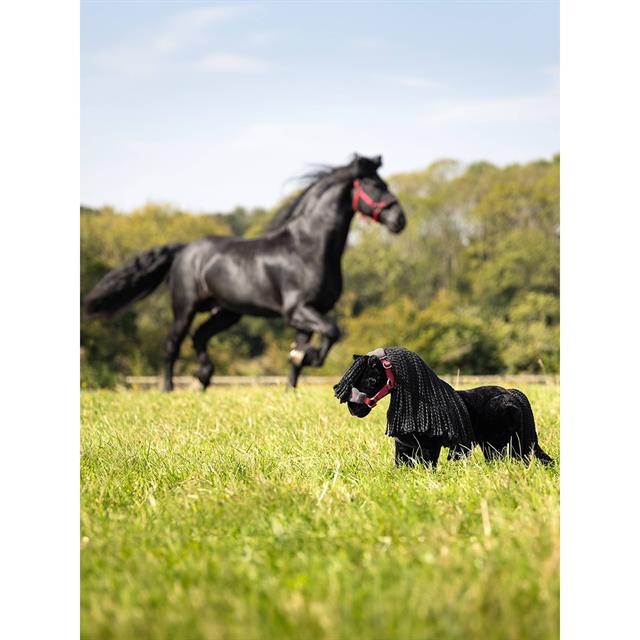 Jouet Toy Pony Spike LeMieux Noir