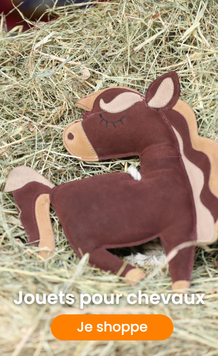 jouets-pour-chevaux