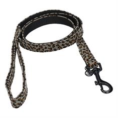 Laisse Leopard Kentucky Gris