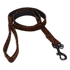 Laisse Leopard Kentucky Marron