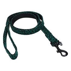 Laisse Leopard Kentucky Vert