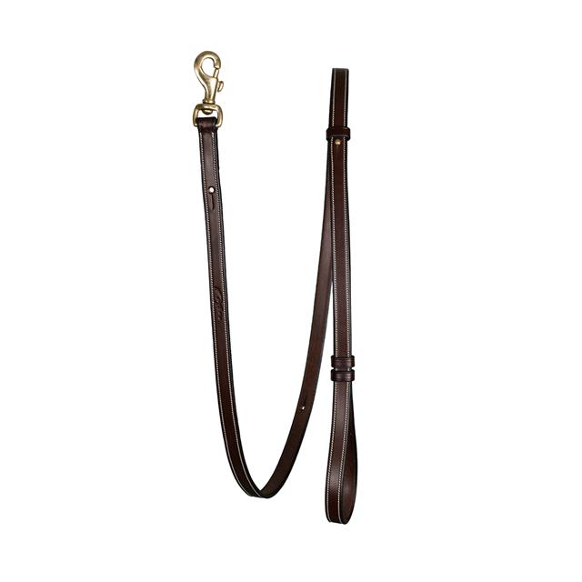 Laisse Pour Chien Ajustable Dy'on Marron