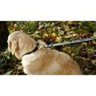 Laisse Pour Chien Ajustable Dy'on Noir