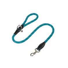 Laisse pour chien Ascot LeMieux Turquoise