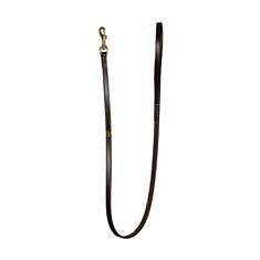 Laisse Pour Chien Classique Dy'on Marron