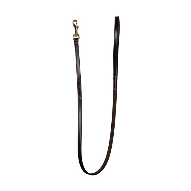 Laisse Pour Chien Classique Dy'on Marron