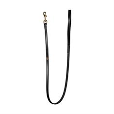 Laisse Pour Chien Classique Dy'on Noir