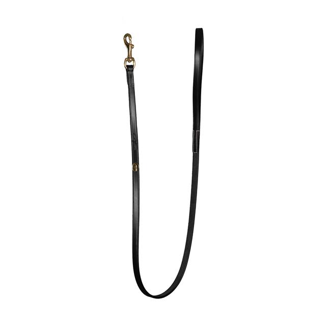 Laisse Pour Chien Classique Dy'on Noir