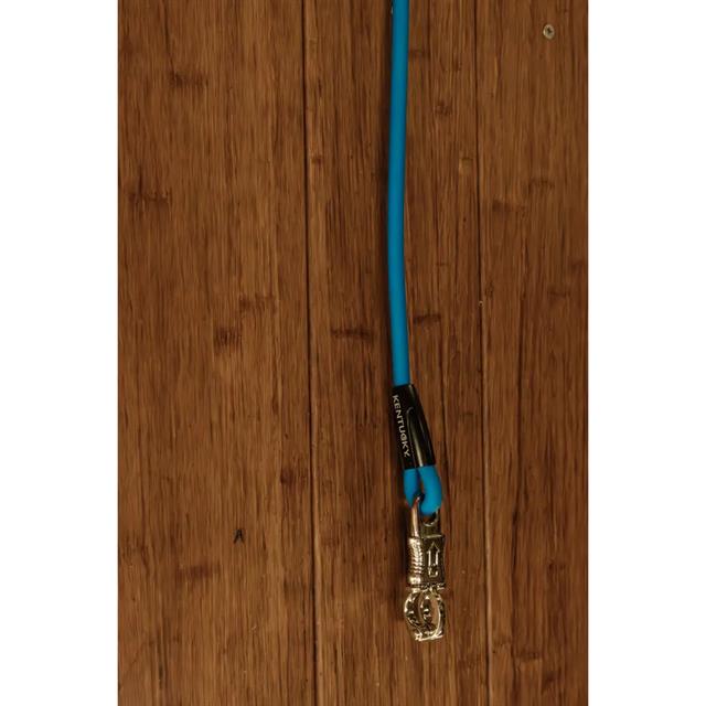 Laisse pour chien en silicone Kentucky Bleu