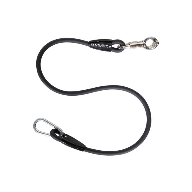 Laisse pour chien en silicone Kentucky Noir
