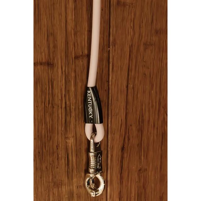 Laisse pour chien en silicone Kentucky Rose clair