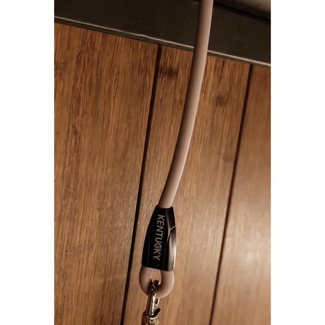 Laisse pour chien en silicone Kentucky Rose clair