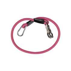 Laisse pour chien en silicone Kentucky Rose