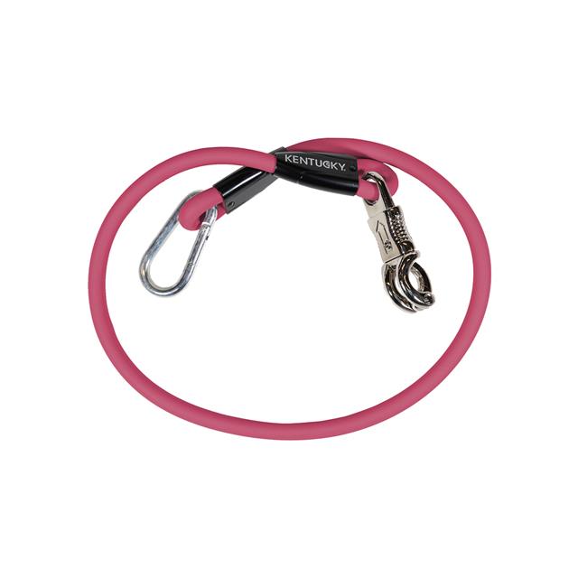 Laisse pour chien en silicone Kentucky Rose