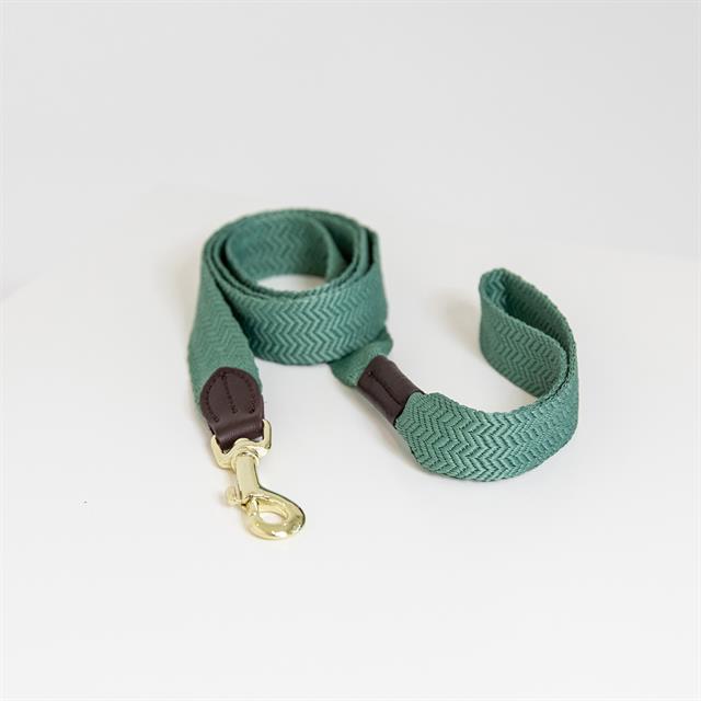 Laisse pour chien Jacquard Kentucky Vert