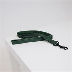 Laisse pour chien Lizard Kentucky Vert