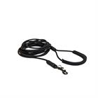 Laisse pour chien Sleeplijn Kentucky Noir