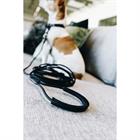 Laisse pour chien Sleeplijn Kentucky Noir
