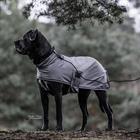 Laisse pour chien Sleeplijn Kentucky Noir