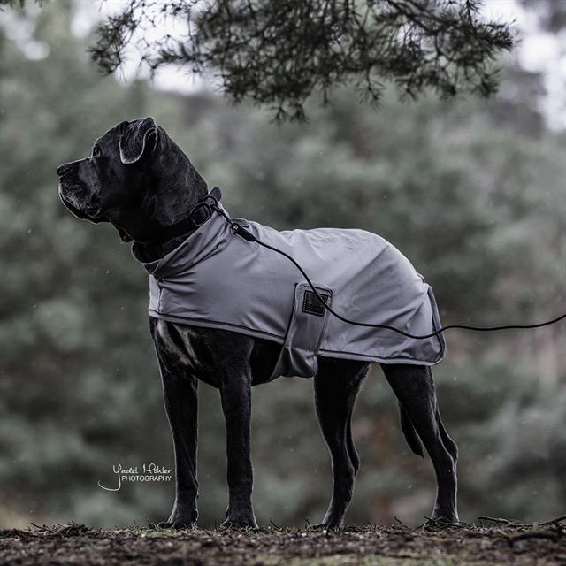 Laisse pour chien Sleeplijn Kentucky Noir