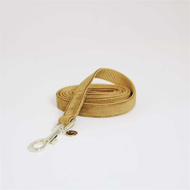 Laisse pour chien Velvet 120cm de longue Kentucky Jaune foncé