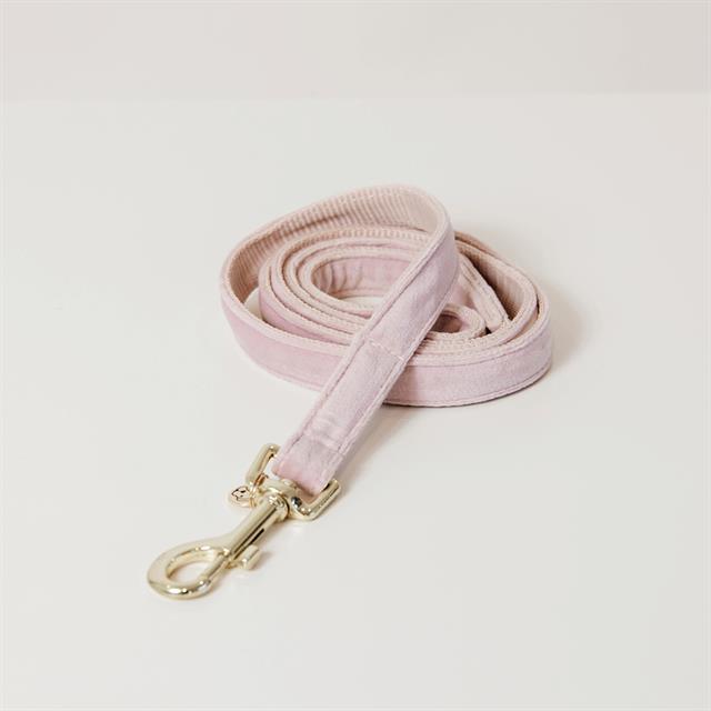 Laisse pour chien Velvet 120cm de longue Kentucky Rose